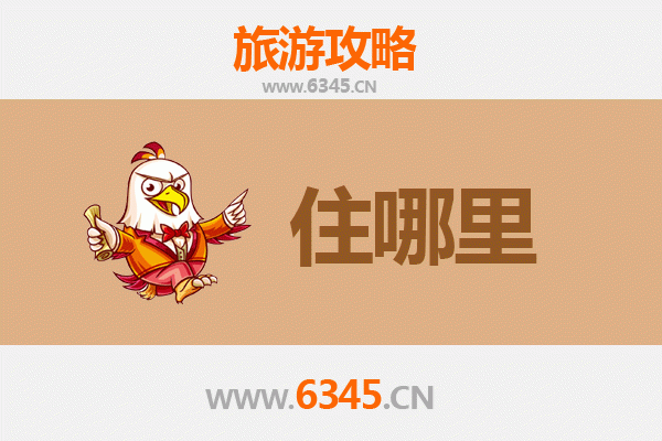 伊春乌伊岭民宿攻略：沉浸北国秘境，邂逅森林疗愈之旅